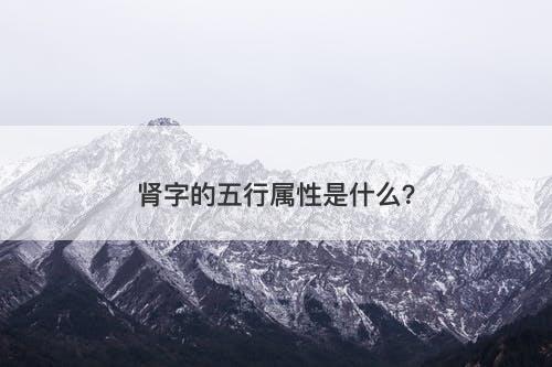 肾字的五行属性是什么？