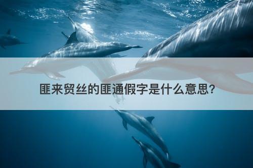 匪来贸丝的匪通假字是什么意思？