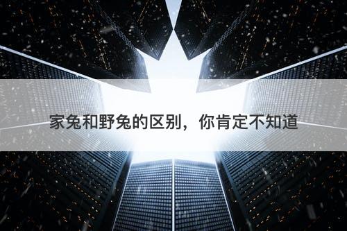 家兔和野兔的区别，你肯定不知道