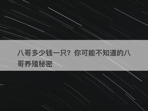 八哥多少钱一只？你可能不知道的八哥养殖秘密