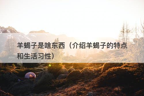羊蝎子是啥东西（介绍羊蝎子的特点和生活习性）