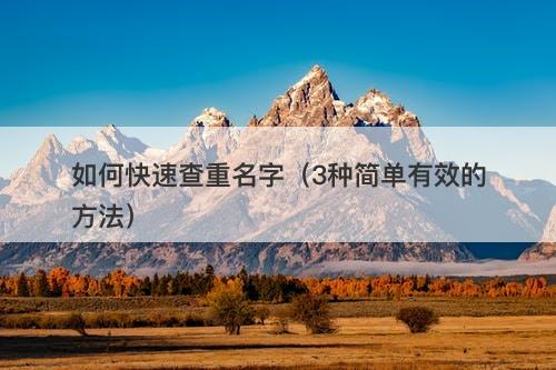 如何快速查重名字（3种简单有效的方法）