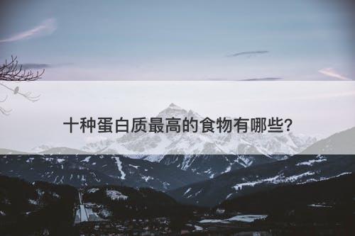 十种蛋白质最高的食物有哪些？