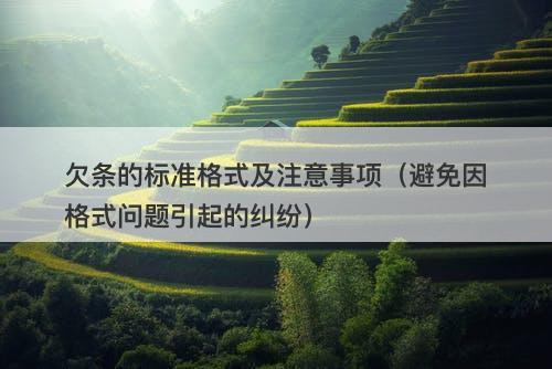 欠条的标准格式及注意事项（避免因格式问题引起的纠纷）