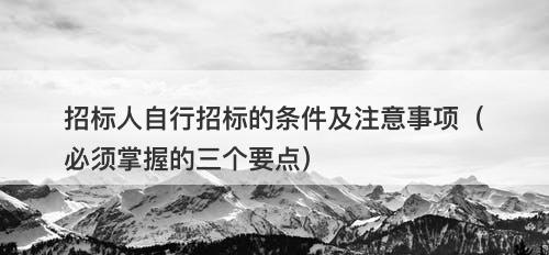 招标人自行招标的条件及注意事项（必须掌握的三个要点）