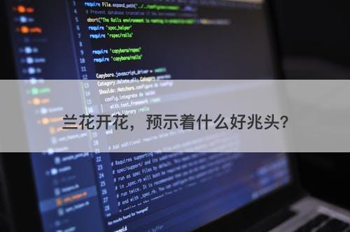 兰花开花，预示着什么好兆头？