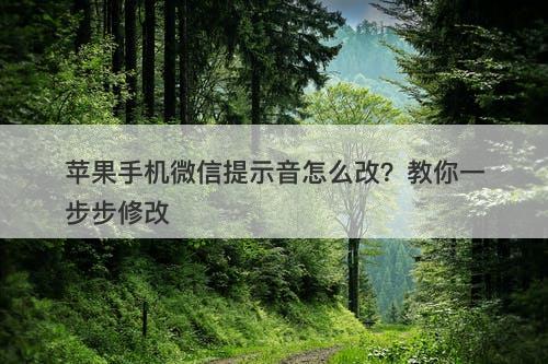 苹果手机微信提示音怎么改？教你一步步修改