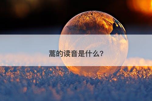 蒿的读音是什么？
