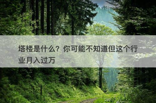 塔楼是什么？你可能不知道但这个行业月入过万