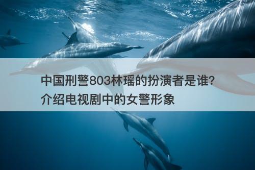 中国刑警803林瑶的扮演者是谁？介绍电视剧中的女警形象