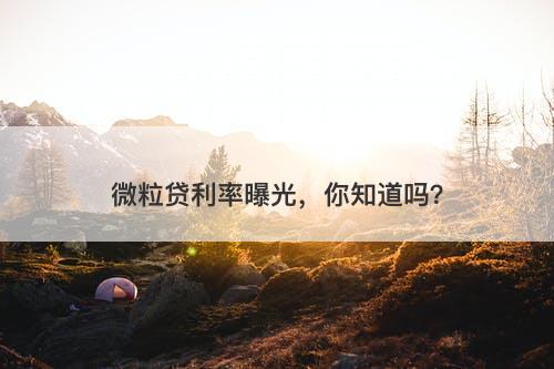 微粒贷利率曝光，你知道吗？
