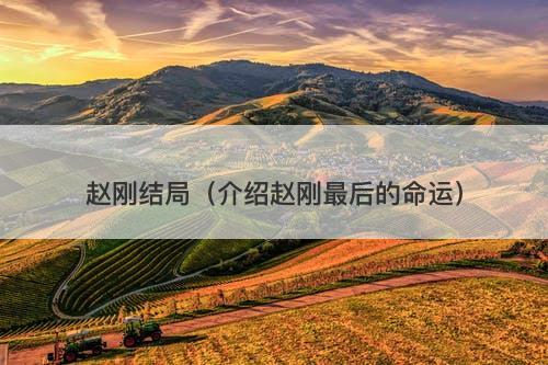 赵刚结局（介绍赵刚最后的命运）