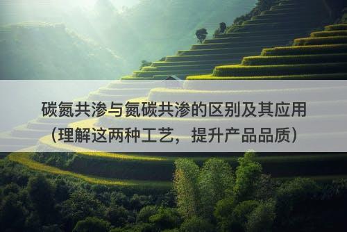 碳氮共渗与氮碳共渗的区别及其应用（理解这两种工艺，提升产品品质）