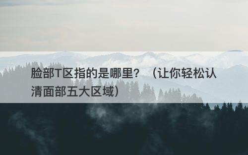 脸部T区指的是哪里？（让你轻松认清面部五大区域）