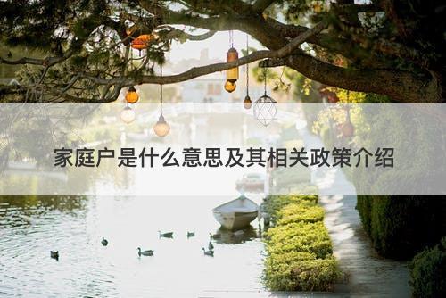 家庭户是什么意思及其相关政策介绍