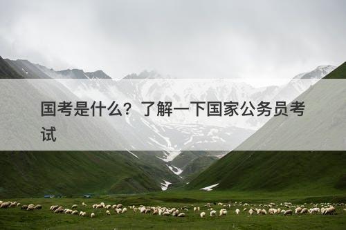 国考是什么？了解一下国家公务员考试