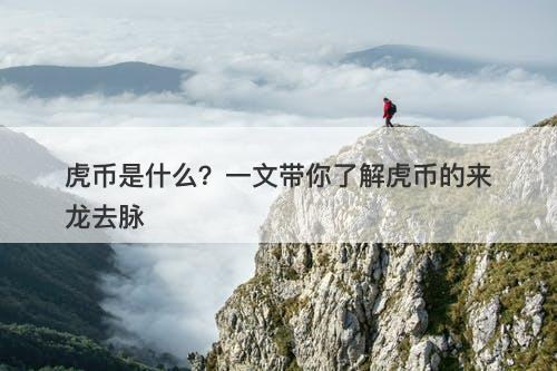 虎币是什么？一文带你了解虎币的来龙去脉