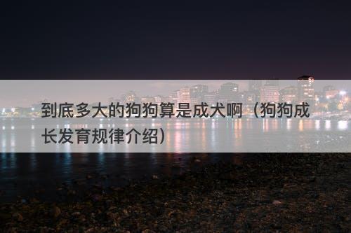 到底多大的狗狗算是成犬啊（狗狗成长发育规律介绍）
