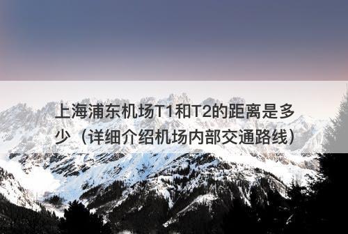 上海浦东机场T1和T2的距离是多少（详细介绍机场内部交通路线）