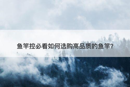 鱼竿控必看如何选购高品质的鱼竿？