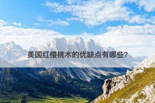 美国红樱桃木的优缺点有哪些？