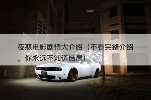 夜惑电影剧情大介绍（不看完整介绍，你永远不知道结局）