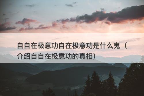 自自在极意功自在极意功是什么鬼（介绍自自在极意功的真相）