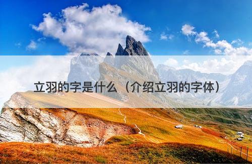 立羽的字是什么（介绍立羽的字体）