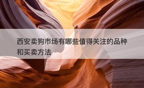 西安卖狗市场有哪些值得关注的品种和买卖方法