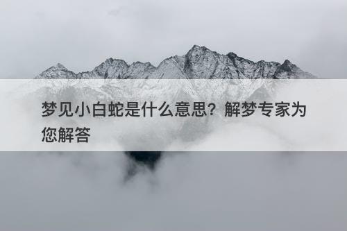 梦见小白蛇是什么意思？解梦专家为您解答