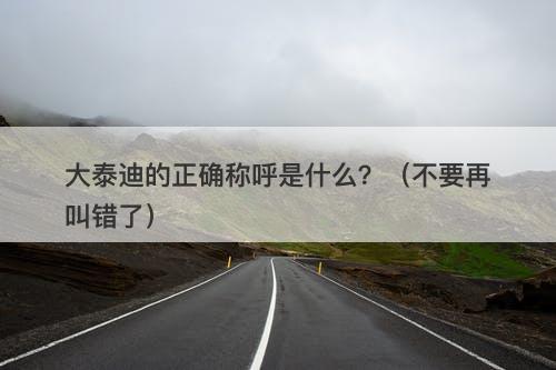 大泰迪的正确称呼是什么？（不要再叫错了）
