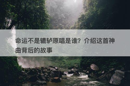 命运不是辘轳原唱是谁？介绍这首神曲背后的故事-图1