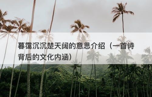 暮霭沉沉楚天阔的意思介绍（一首诗背后的文化内涵）
