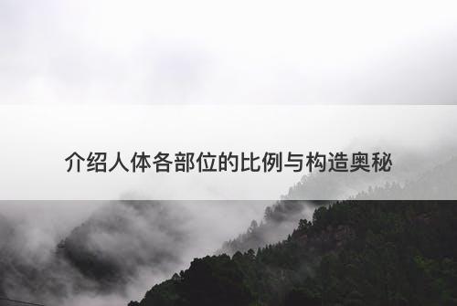 介绍人体各部位的比例与构造奥秘