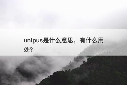 unipus是什么意思，有什么用处？