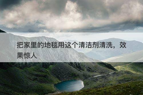 把家里的地毯用这个清洁剂清洗，效果惊人