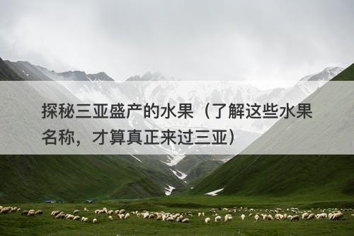 探秘三亚盛产的水果（了解这些水果名称，才算真正来过三亚）