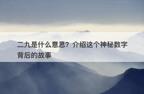 二九是什么意思？介绍这个神秘数字背后的故事