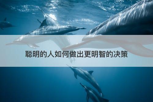 聪明的人如何做出更明智的决策
