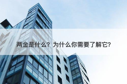 两金是什么？为什么你需要了解它？
