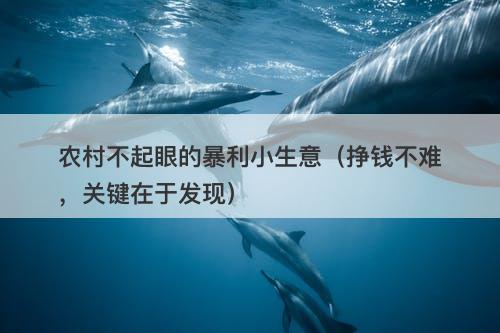 农村不起眼的暴利小生意（挣钱不难，关键在于发现）