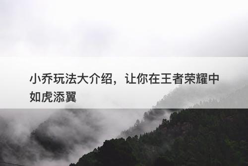 小乔玩法大介绍，让你在王者荣耀中如虎添翼