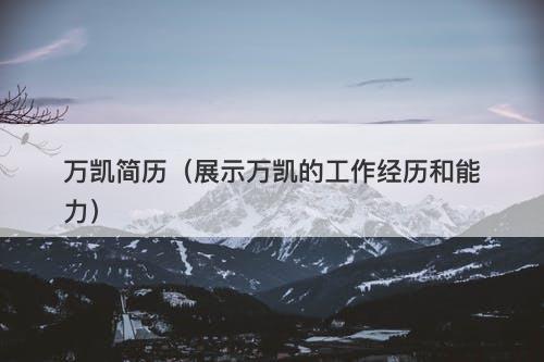 万凯简历（展示万凯的工作经历和能力）