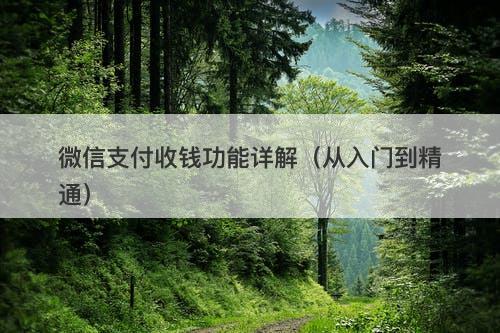 微信支付收钱功能详解（从入门到精通）