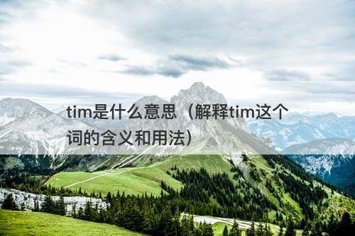 tim是什么意思（解释tim这个词的含义和用法）