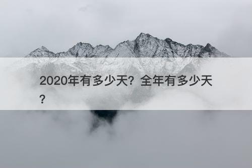2020年有多少天？全年有多少天？
