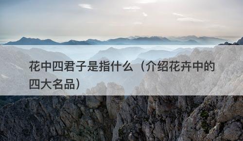 花中四君子是指什么（介绍花卉中的四大名品）
