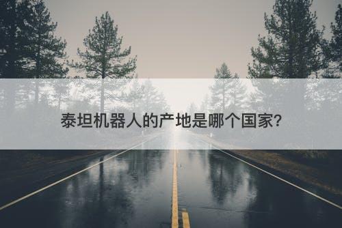 泰坦机器人的产地是哪个国家？