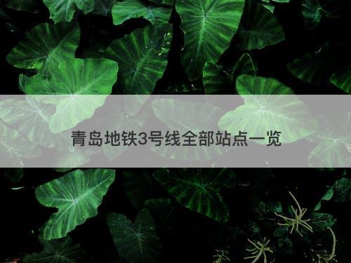 青岛地铁3号线全部站点一览