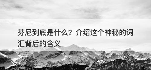 芬尼到底是什么？介绍这个神秘的词汇背后的含义